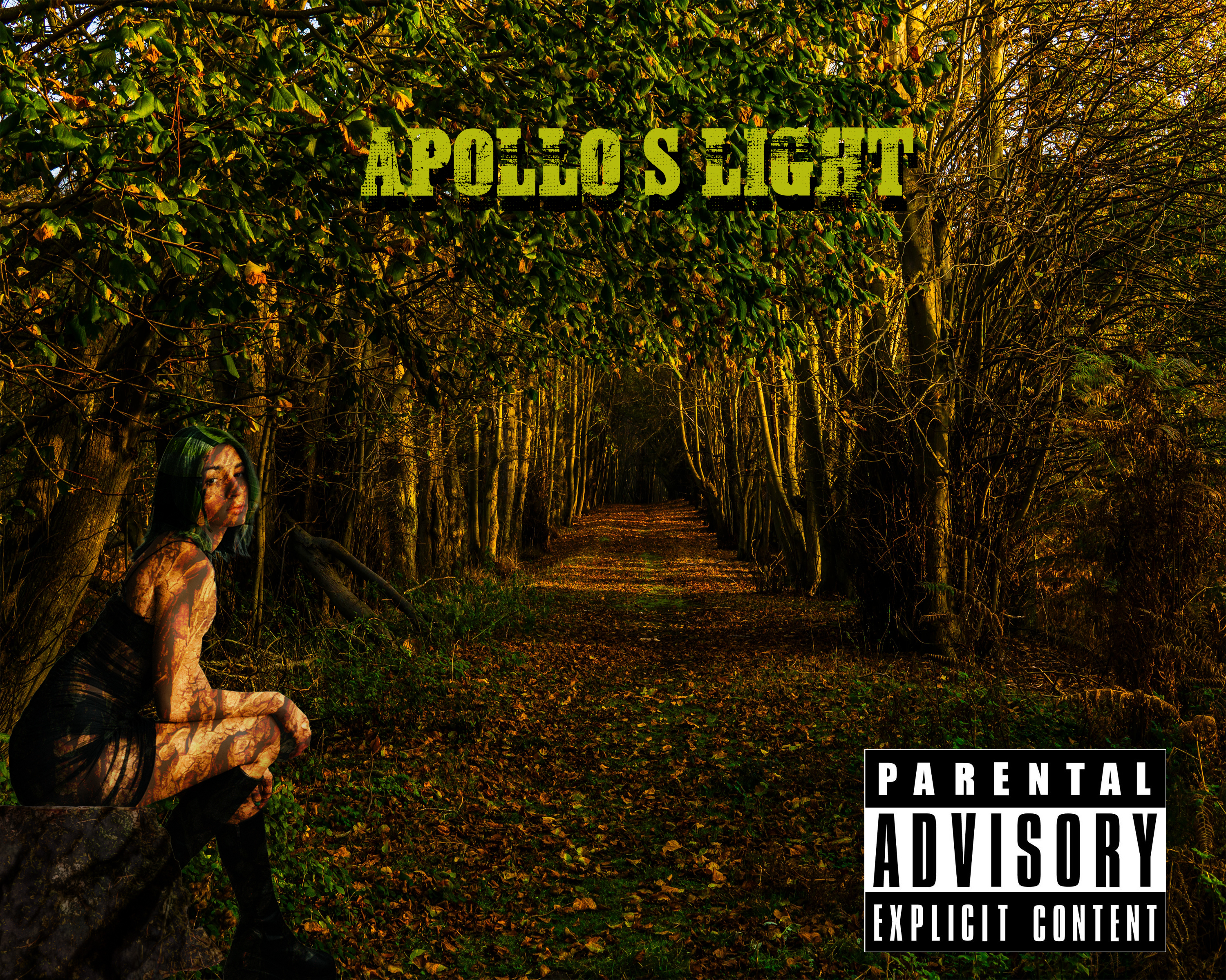 Album cover project